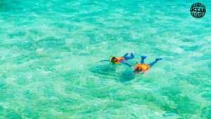 Oahu Snorkeling Spots