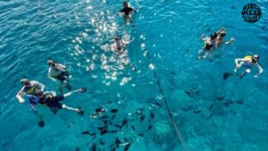 do-you-need-to-know-swimming-for-snorkeling