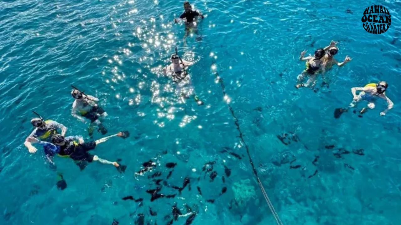 Read more about the article Do You Need to Know Swimming for Snorkeling? Here’s the Real Answer