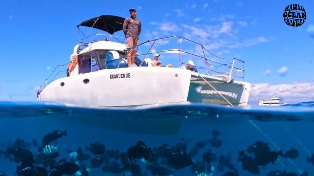 boat-tours-in-honolulu-guide