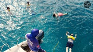 best-snorkeling-spots-oahu