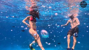 waikiki-beach-coral-reefs