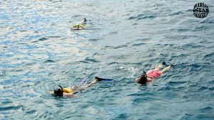 waikiki-snorkeling-guide