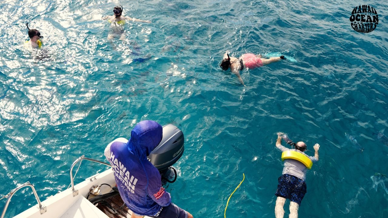 Read more about the article What Should First-timers Expect from Hawaii Adventure Tours on the Ocean?
