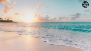 waikiki-beach-activities-safety-etiquette