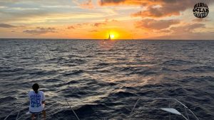 what-to-expect-on-a-maui-sunset-cruise