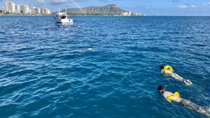 best-snorkeling-in-oahu