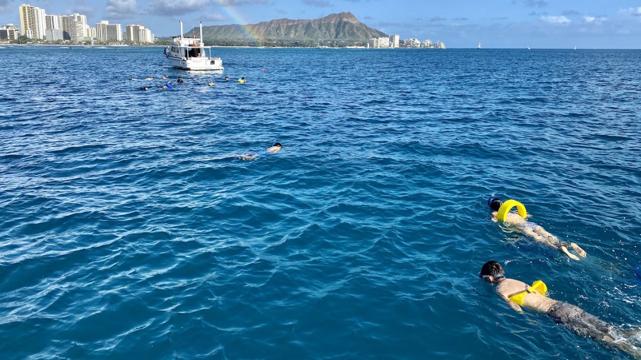 Read more about the article Best Snorkeling in Oahu: 2026 Guide to Top Spots and Insider Tips