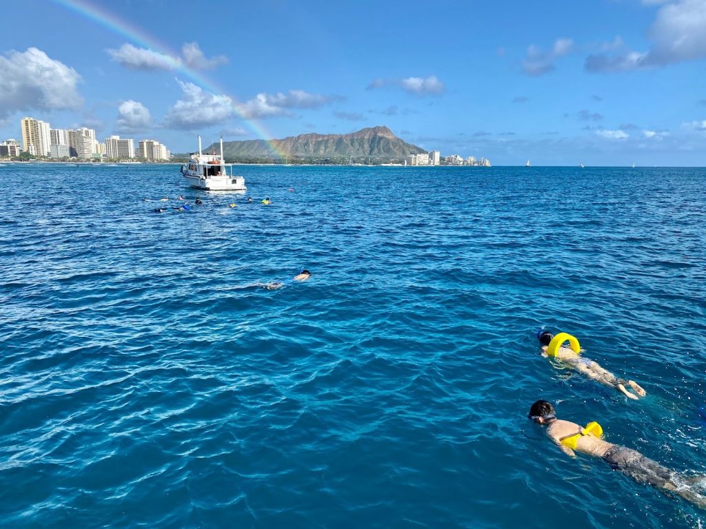 Vibrant coral reefs and marine life at a Hawaii beach, a top destination for those seeking the best snorkeling Oahu.