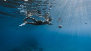 A snorkeling tour in Honolulu.