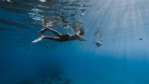 Best Time of the Day & Season for Oahu Boat Tours in 2026