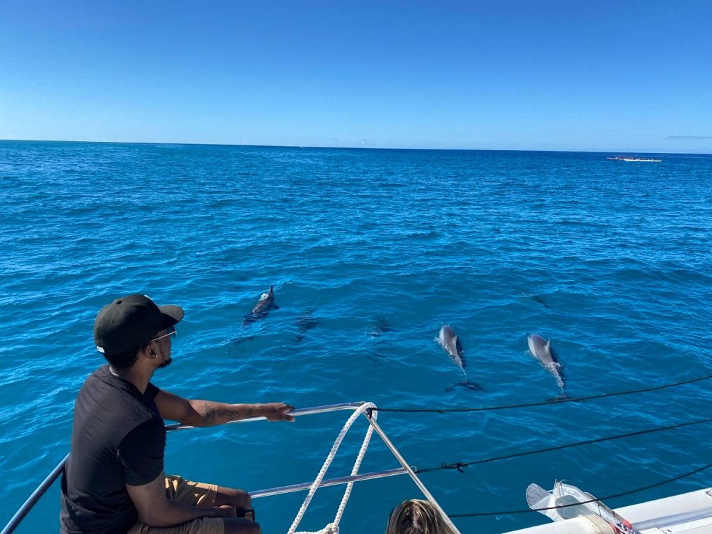 A man watching whales from a boat in Oahu. 