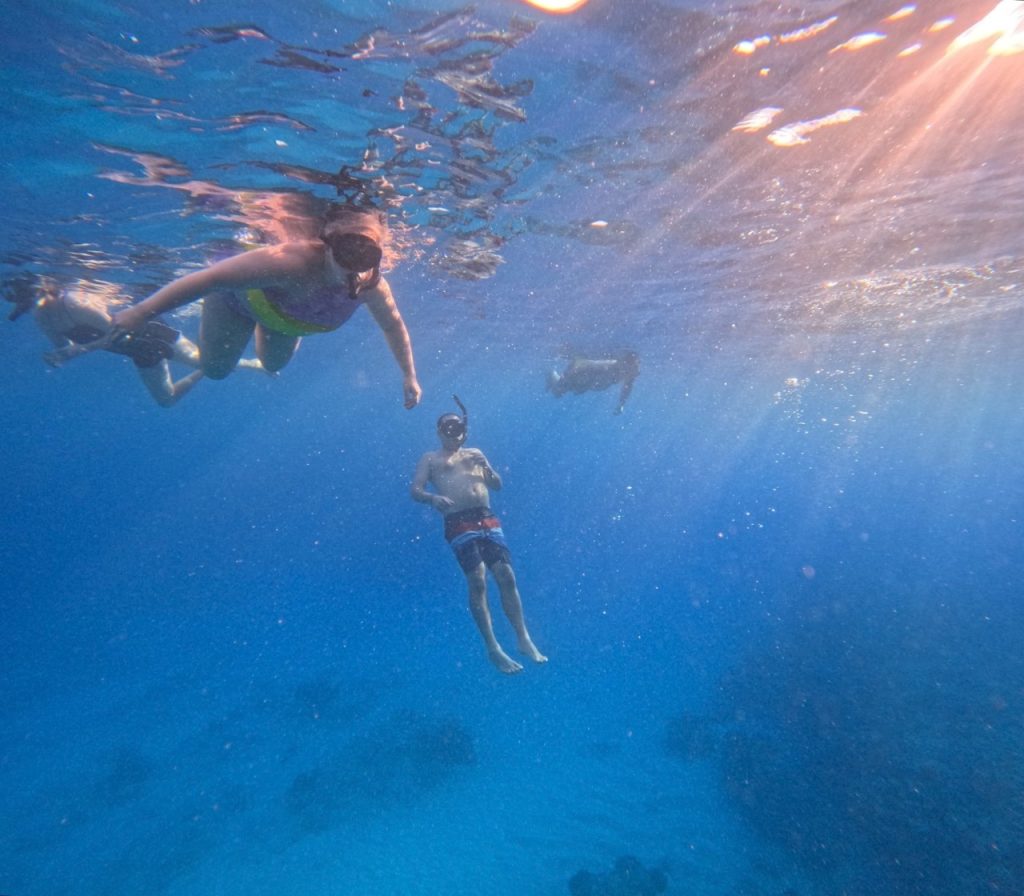  Snorkeling adventure in Hawaii. 