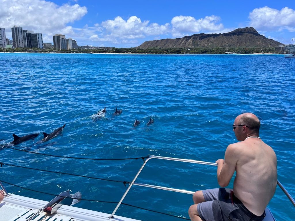 Whale watching scene from a private charter: a must-do while being on a Honolulu city tour.