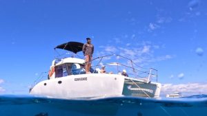Boat tour above water with tropical fish swimming below.
