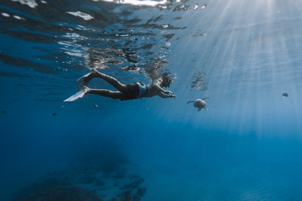 Man spotting a turtle during snorkeling in Waikiki.
