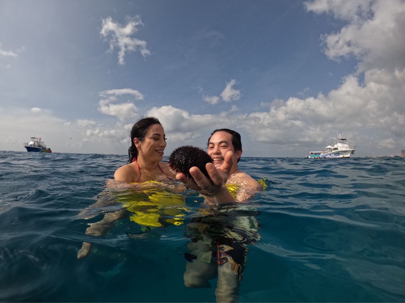 Read more about the article 15 Things to Do in Honolulu with Kids on a Budget