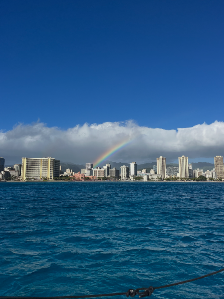 Royal Hawaiian Hotel and Waikiki Beach from the water