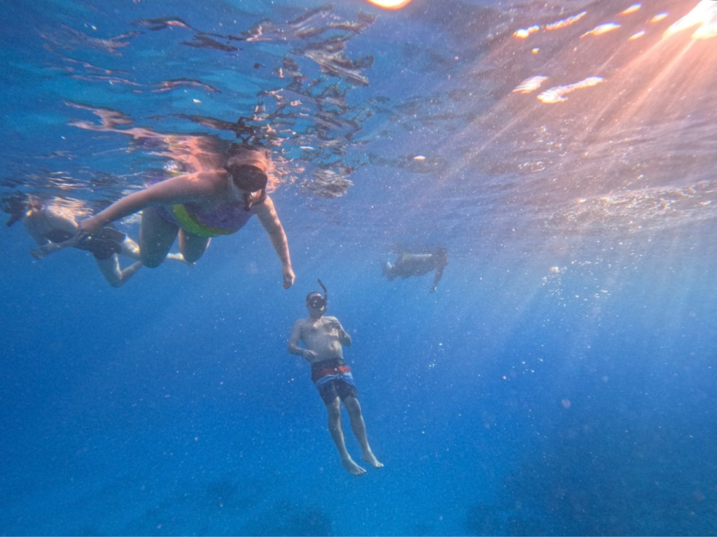 Snorkelers swimming underwater with sunlight streaming down