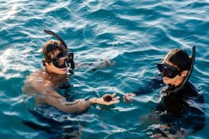 Two snorkelers examining sea life during Oahu tour