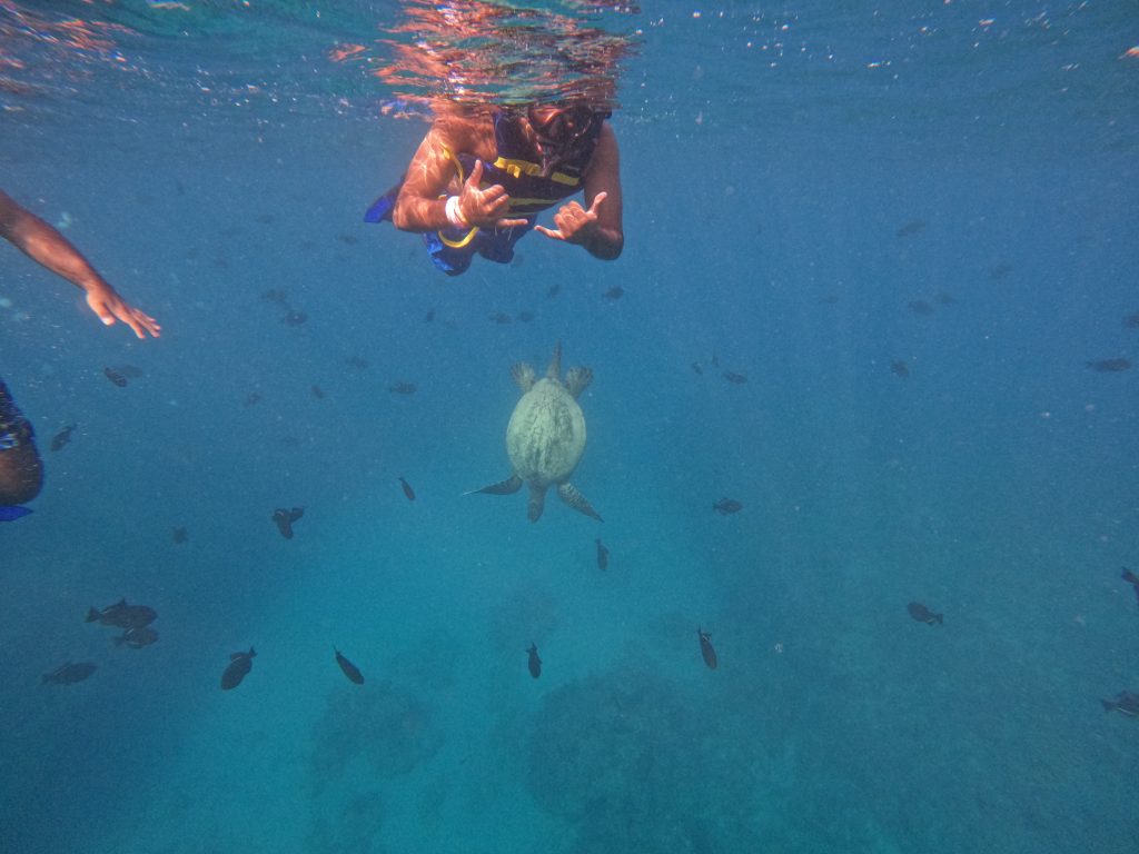 Snorkeler giving shaka sign near a sea turtle