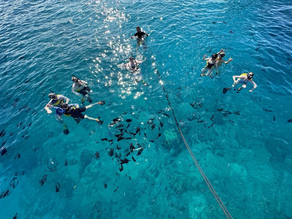 Snorkelers floating together above coral reef