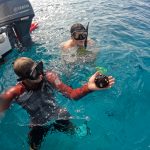 Snorkelers holding sea urchin near boat motor