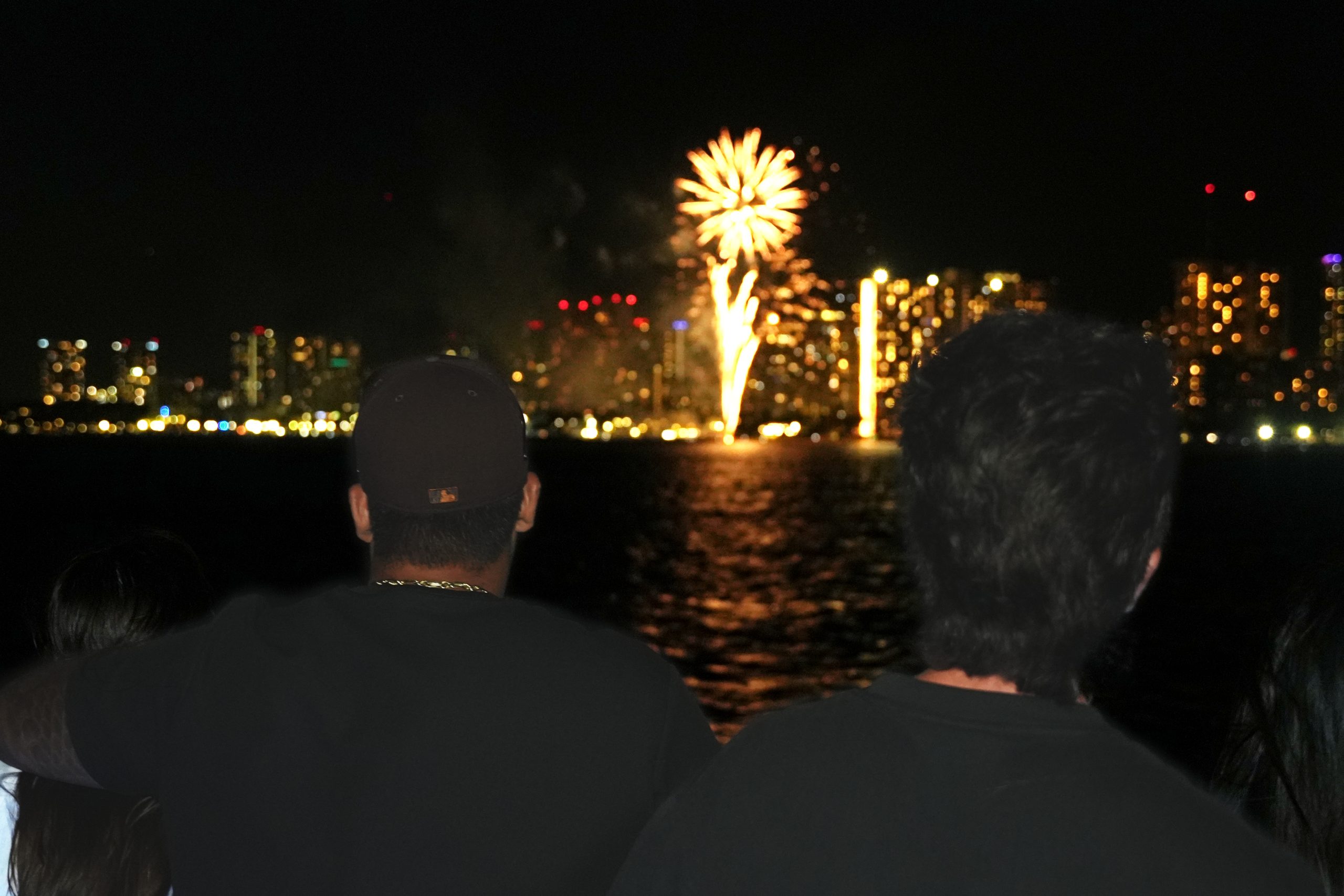Private Fireworks & City Lights Cruise